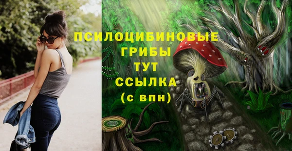 твердый Вяземский
