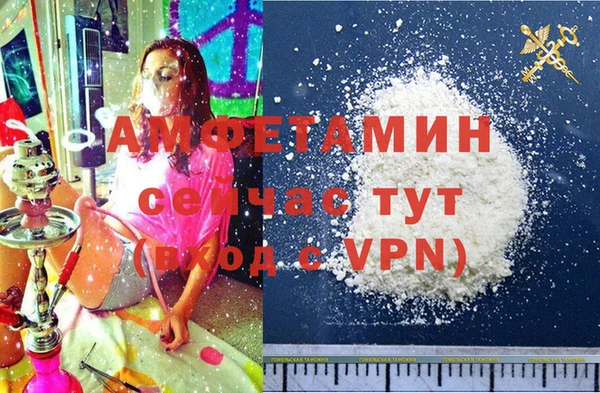 твердый Вяземский