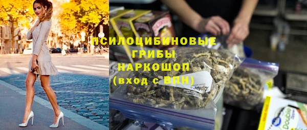 твердый Вяземский