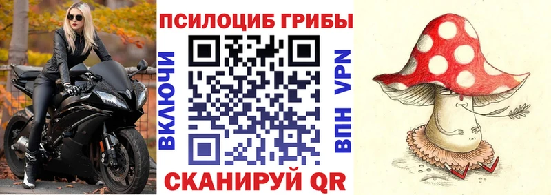 Купить где  Трубчевск  Галлюциногенные грибы мухоморы 