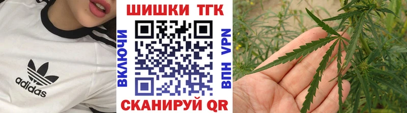 Купить закладки  Трубчевск  Бошки марихуана конопля 
